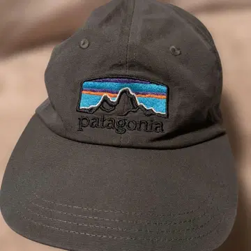 patagonia 그레이 캡