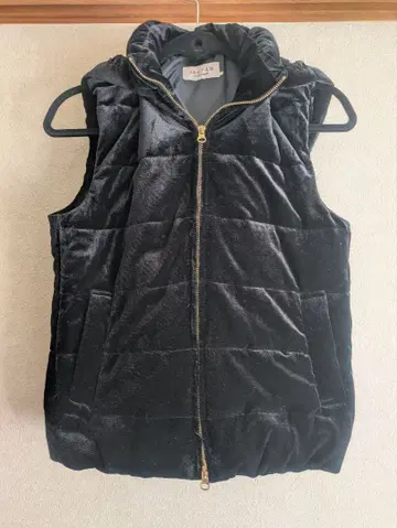 any FAM 벨벳 후드 부착 슬리브리스 다운 자켓