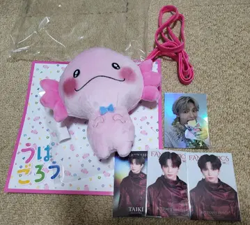 [ 익명 배송 ] 우파고로 사토 히로키