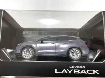 LEVORG LAYBACK 미니카