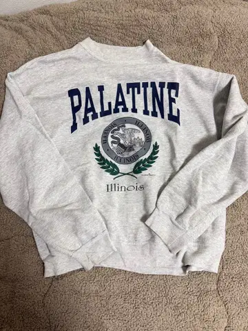 Hanes 맨투맨 구제 의류