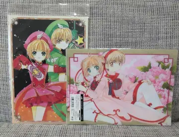 카드캡터 사쿠라 사쿠라전 클리어 파일 샤오랑 사쿠라