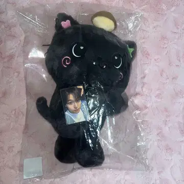 nct wish 리쿠 밤 log in 봉제 인형 트레이딩 카드