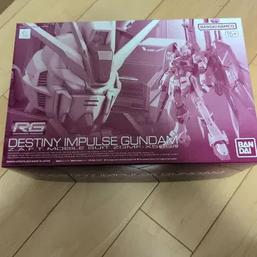 RG 데스티니 임펄스 건담