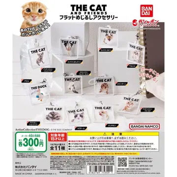 THE CAT 메지루시 액세서리 고양이 10종 컴프 + 증정