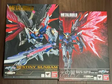 METAL BUILD 메탈빌드 데스티니 건담 & 빛의 날개 세트