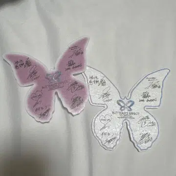 FANTASTICS 메시지 카드 나비 낙하물