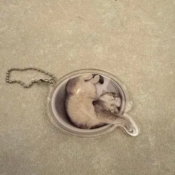 카와카미 모모코 살롱 한정판 아크릴 참