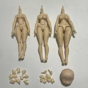 아존 1/12 피코니모R 바디 세트 AZONE