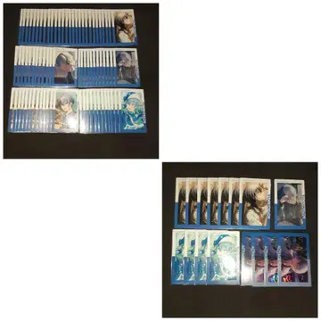 에피카 아오야기 토야 16A