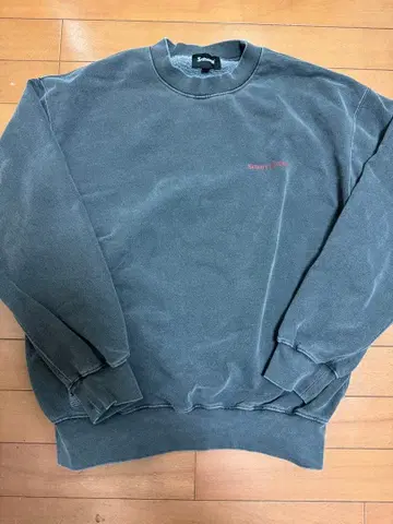 Schott 피그먼트 이글 크루 맨투맨