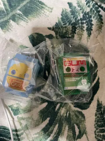 고치조 스포키 가무가무가무 보통