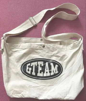 &TEAM WEGO 빅 숄더백