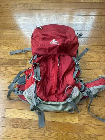 Gregory Jade 제이드 여성용 50 백팩 레드