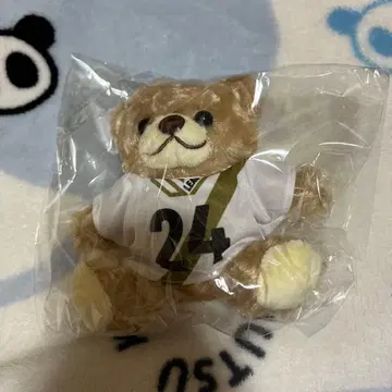 오가와 토모히로 선수 유니베어