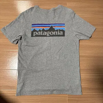 USA제, patagonia 빈티지 T셔츠 M