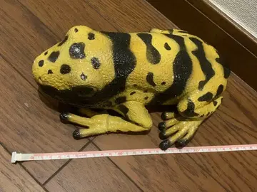 개구리 소프트 비닐 키오비야도쿠가엘 양서류 개구리 frog