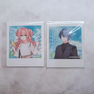 프로세카 폴라로이드 묶음 판매