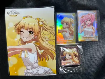 죠가사키 리카 죠가사키 미카 묶음 판매