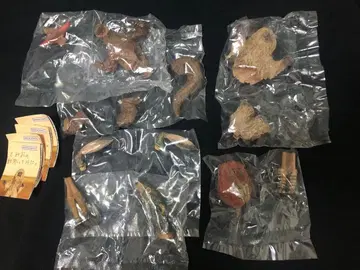 전 4종 컴프 하시모토 미오의 울트라 괴수 조각해 봤다.