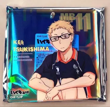 하이큐 팬파크 쇼와노트 오로라 브로키 츠키시마 케이