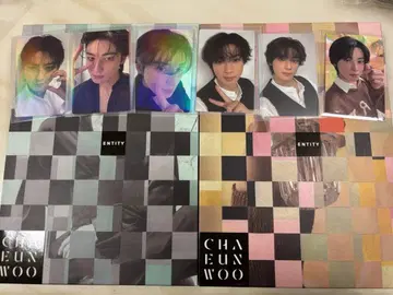차은우 ENTITY 앨범 봉입 트레이딩 카드