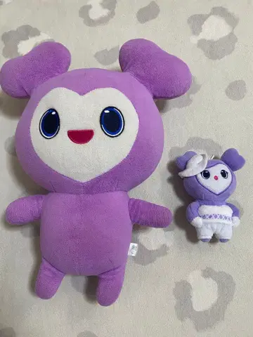 트와이스 사나짱 서브리