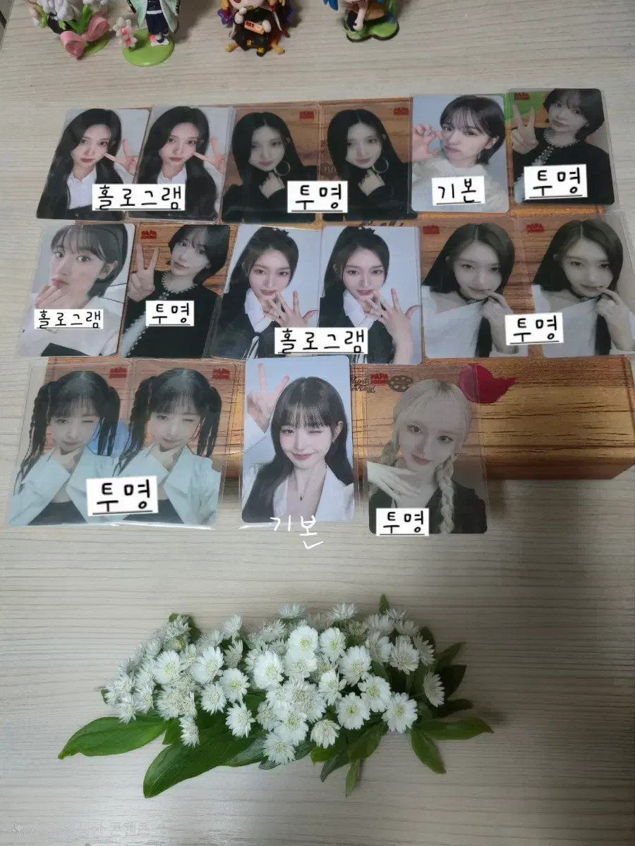아이브 파파존스 포토카드