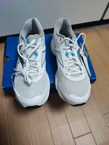Reebok Premier Aztrec 러닝화 29cm
