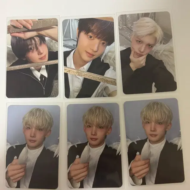 앤팀 백투라 앨범 포카