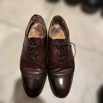 다크 브라운 레이스업 가죽 신발