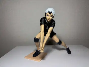 하이큐 키타 신스케 피규어