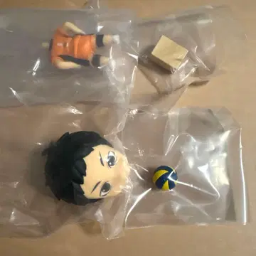 하이큐!! 점토 서프라이즈 사와무라 다이치