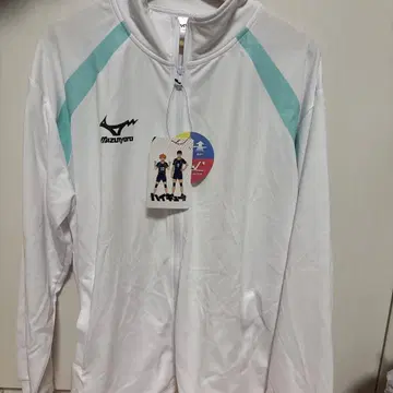 아오바죠사이 VBC 저지 LL 사이즈