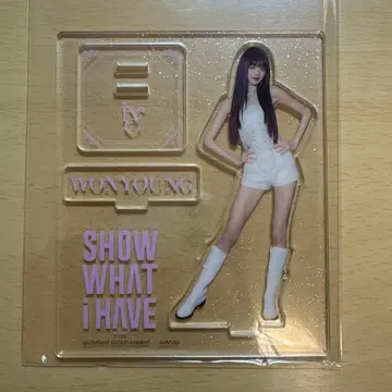 ive 원영 월츠 아크릴 스탠드 라이브 의상ver