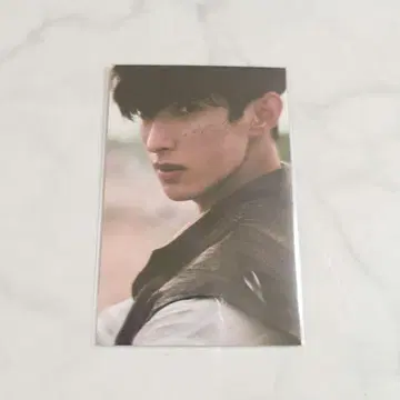 SEVENTEEN 도겸 트레이딩 카드 아서왕 1