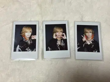 Royz 토모야 폴라로이드