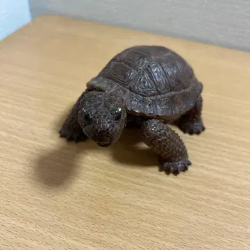 리얼한 브라운 거북이 피규어