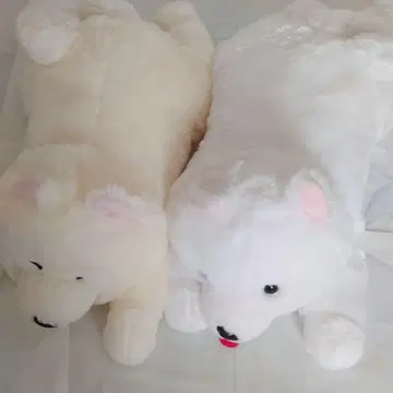 [16일까지] 흐물흐물 사모예드군 엎드림 울트라 BIG 봉제 인형 2종