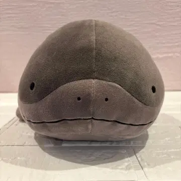 포켓몬스터 메챠모후굿토 봉제 인형 도오