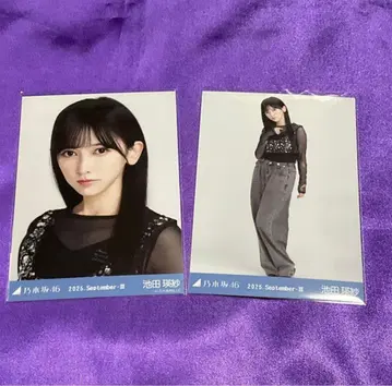 이케다 에이사 스팽글 브로마이드 요리 히키