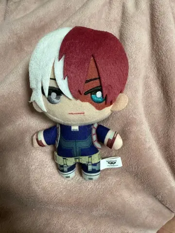 나의 히어로 아카데미아 히로아카 토도로키 쇼토 토모누이 Vol.12