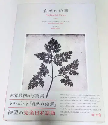 자연의 납 완전 일본어판