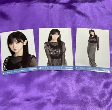 이케다 에이샤 스팽글 브로마이드 컴프