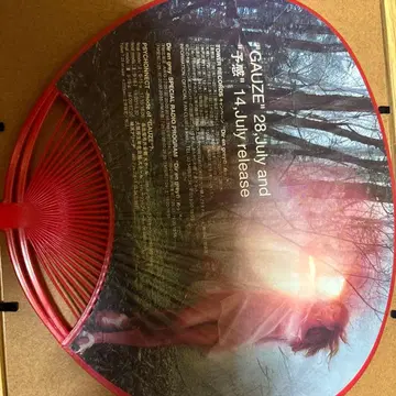 DIRENGREY GAUZE 출시 시 부채