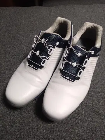 새상품급 풋조이 2023년 드라이조이 프로 보아 25