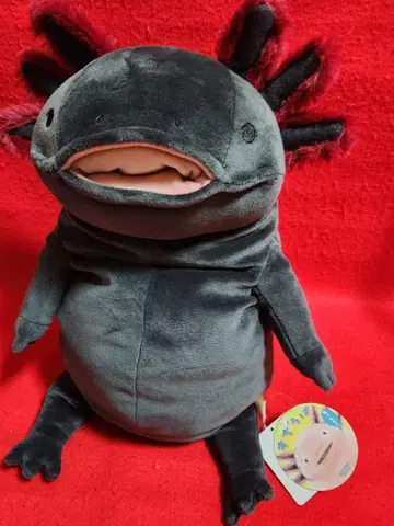 모찌우파 블랙 L 사이즈 모찌우파 블랙 봉제 인형 우파루파