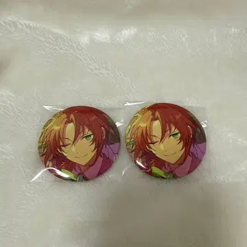 컬렉션 캔뱃지 츠키나가 레오