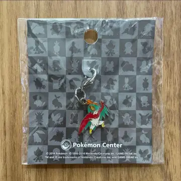 포켓몬 메탈 참 루차불