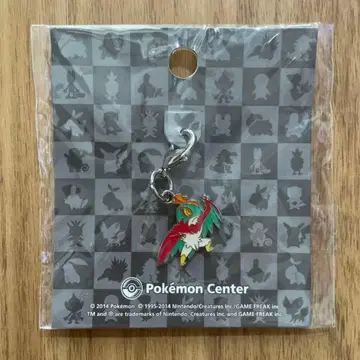 포켓몬 메탈 참 루차불